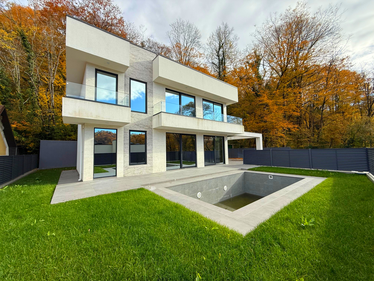 Дом в окружении леса