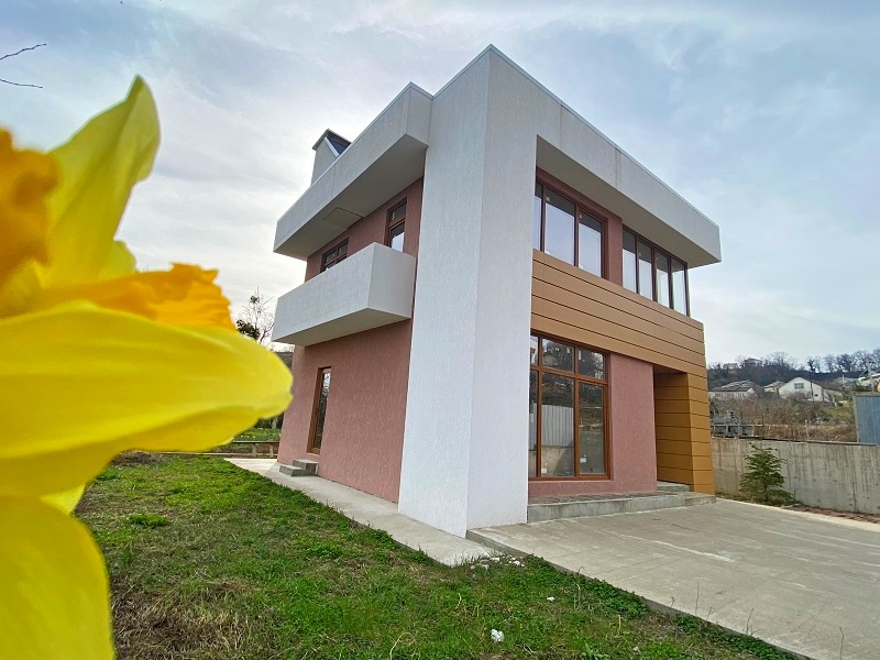 Хай-тек в Адлере