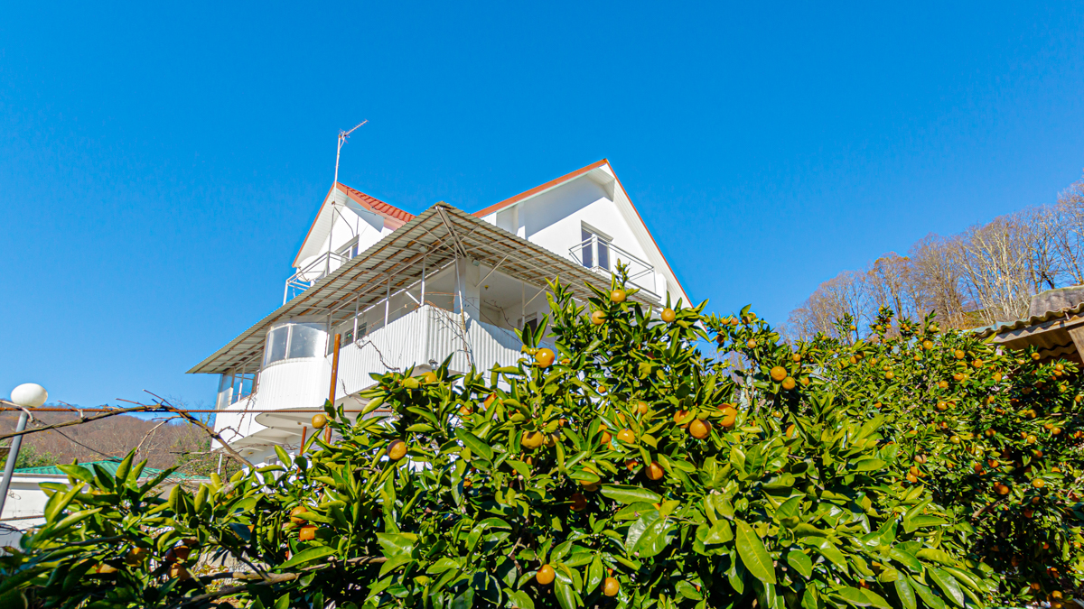 Усадьба о которой мечтают сотни тысяч человек