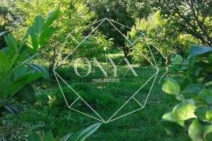 Изображение 12