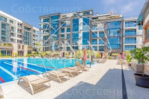 Изображение 24