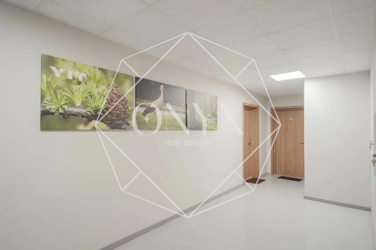 Изображение 8