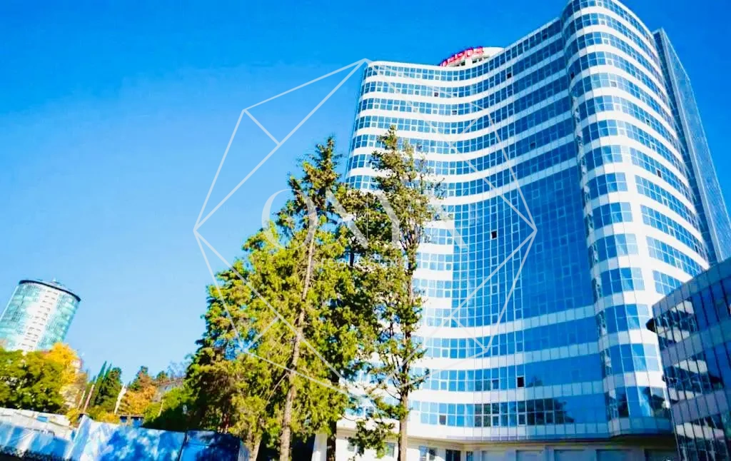 Изображение 12