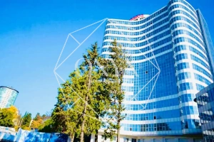 Изображение 12