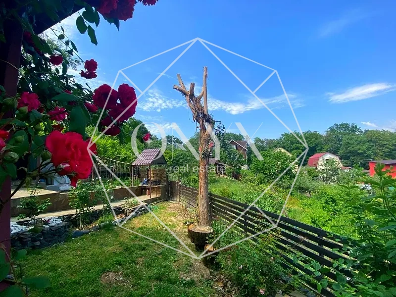 Изображение 11