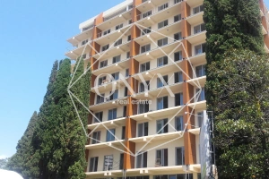 Изображение 8