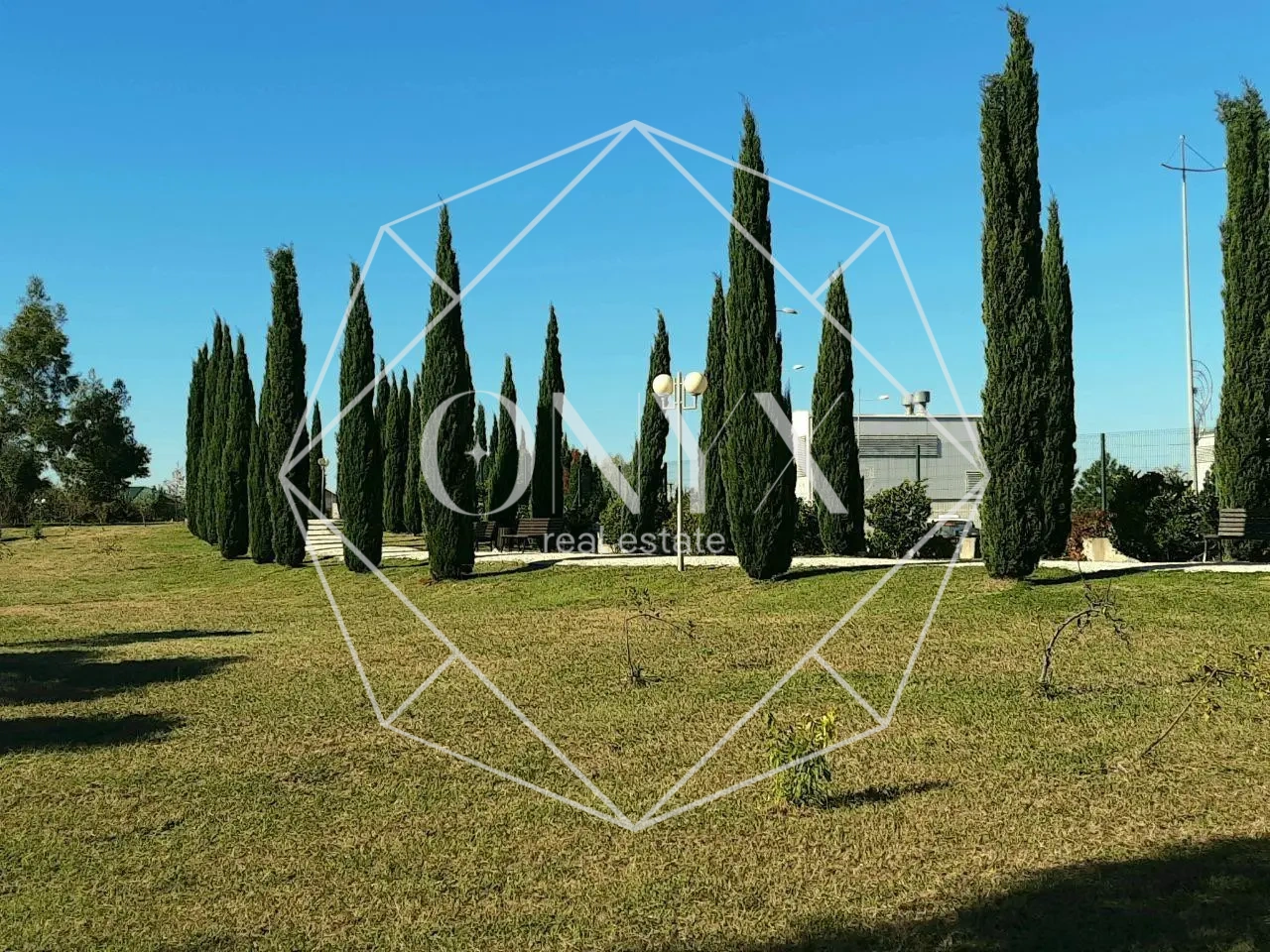 Изображение 12