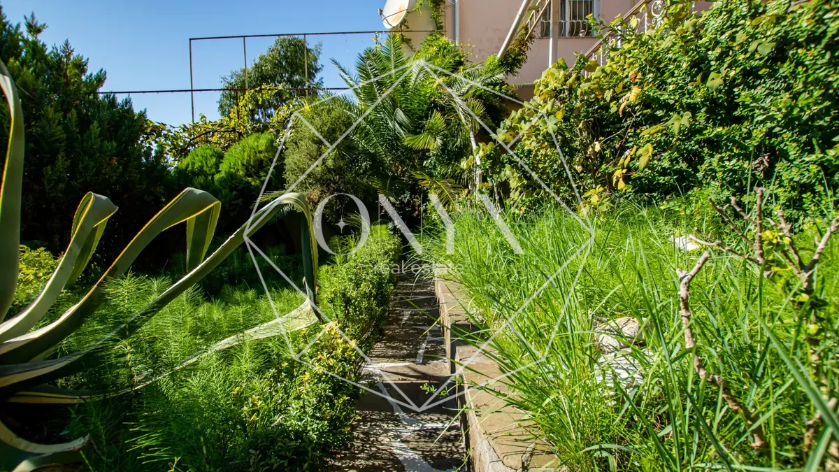 Изображение 15