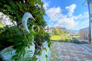 Изображение 23