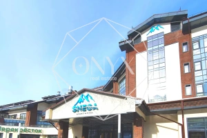 Изображение 11