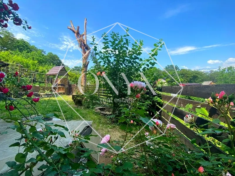 Изображение 12