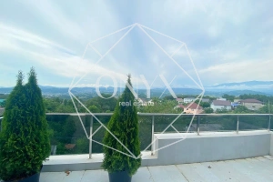 Изображение 11