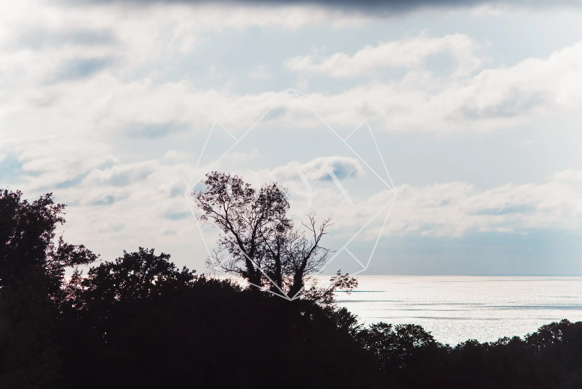 Изображение 21