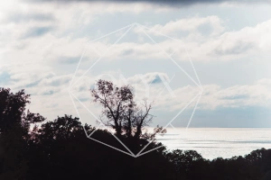 Изображение 21