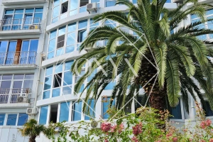 Изображение 21