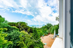 Изображение 20