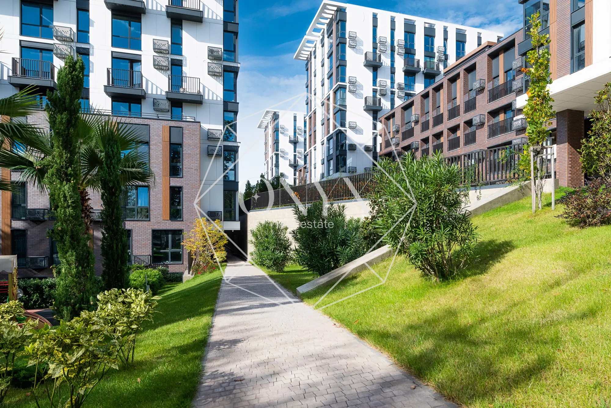 Изображение 19