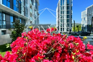 Изображение 15