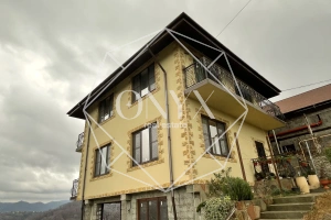 Изображение 12