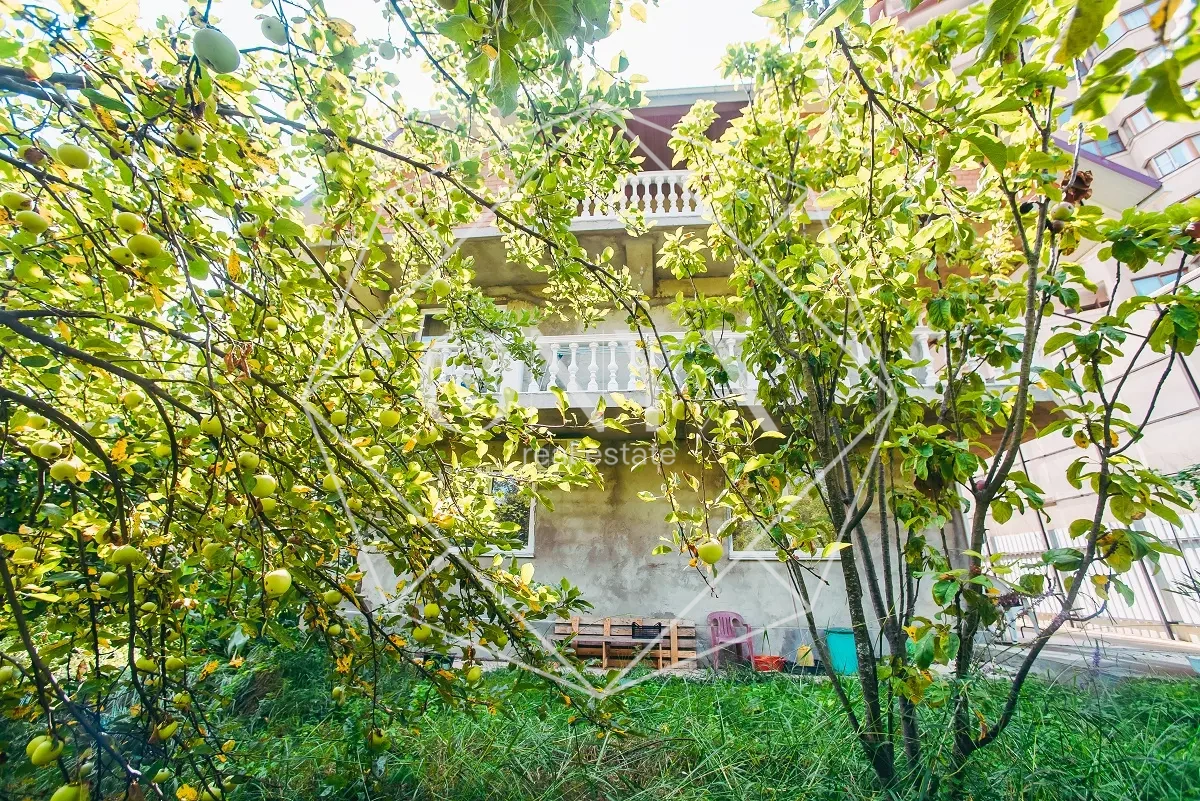 Изображение 28