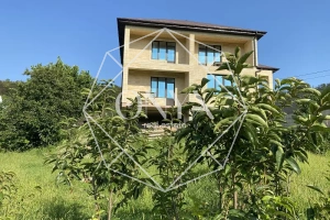 Изображение 12