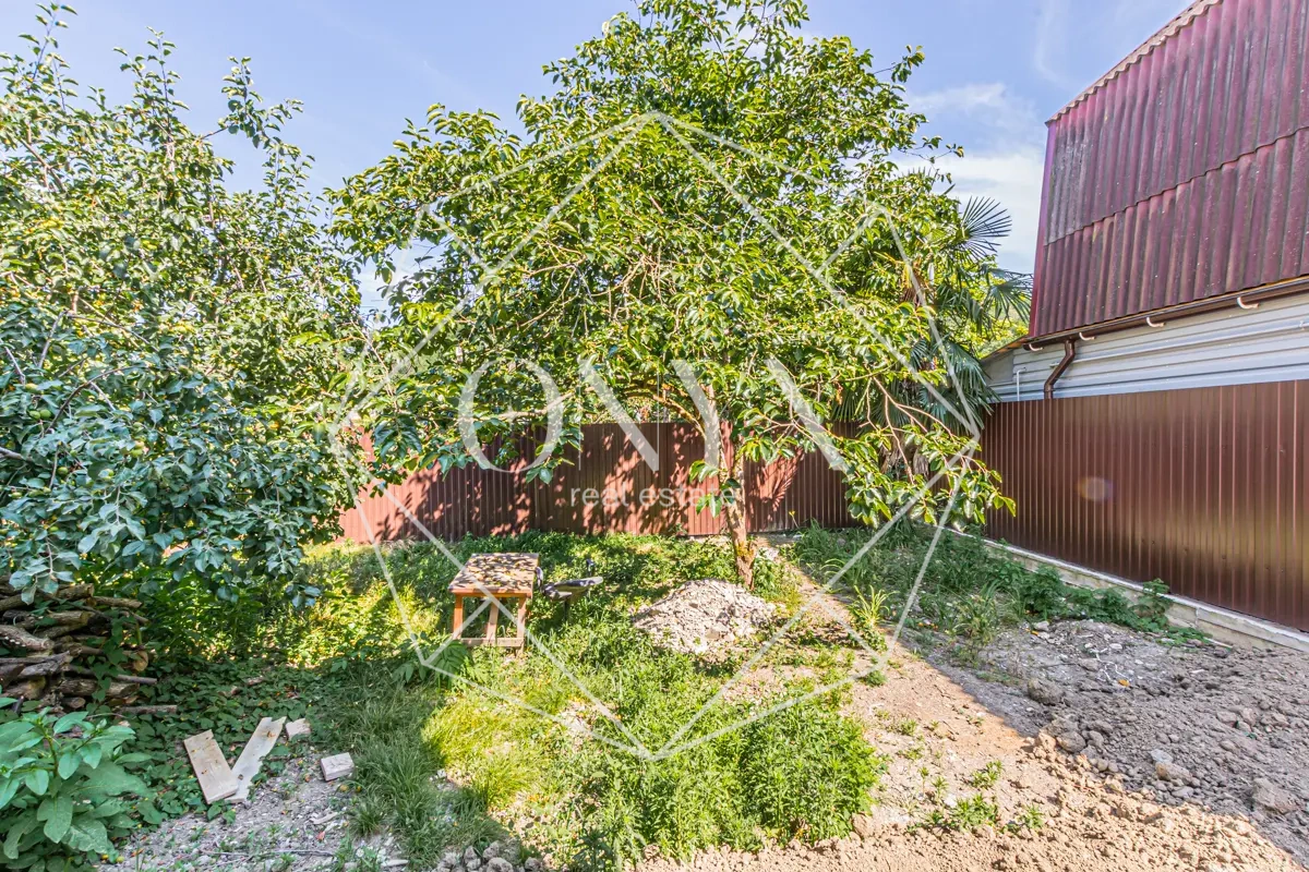 Изображение 12