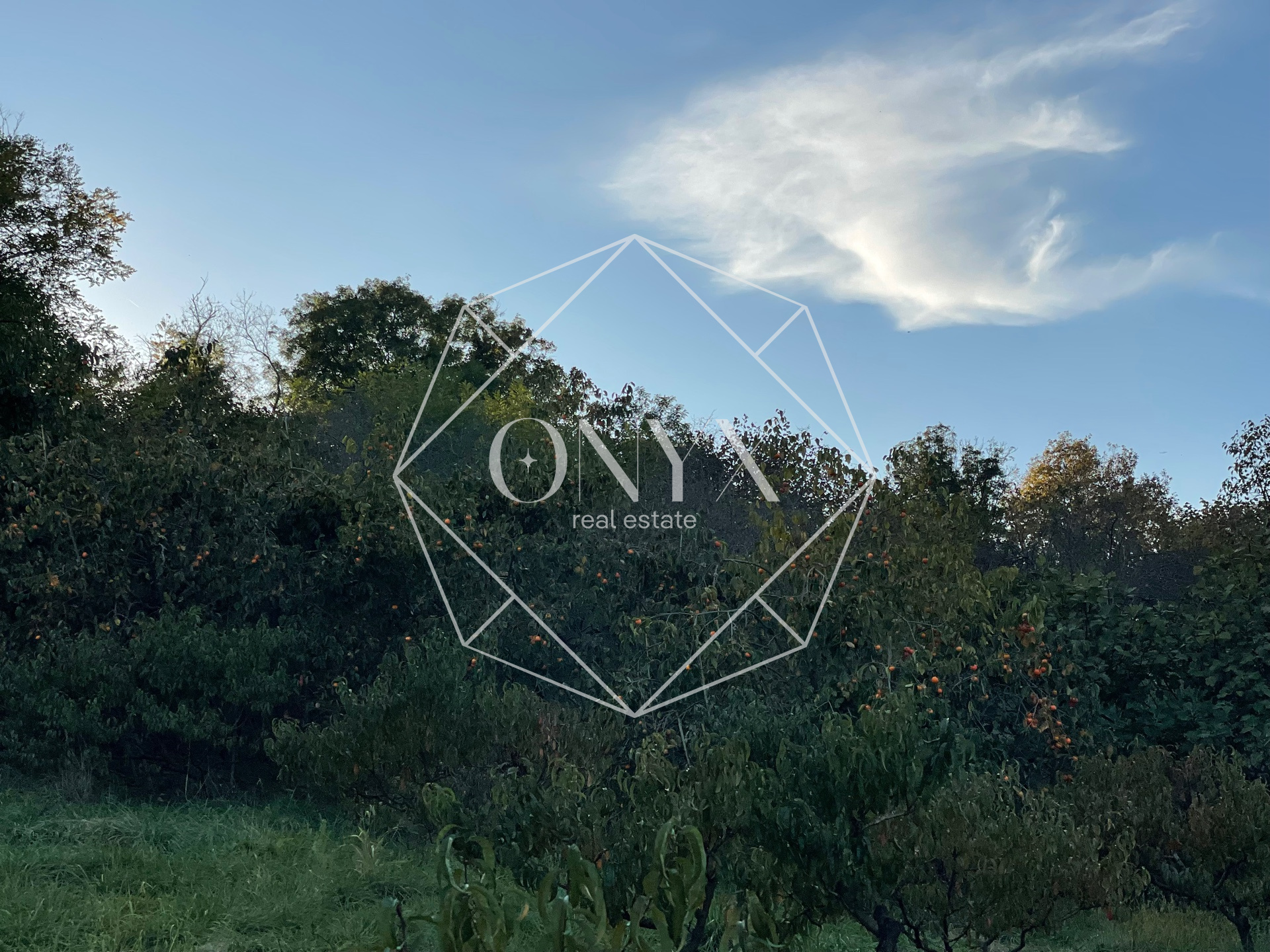 Изображение 16