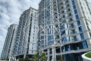 Изображение 24