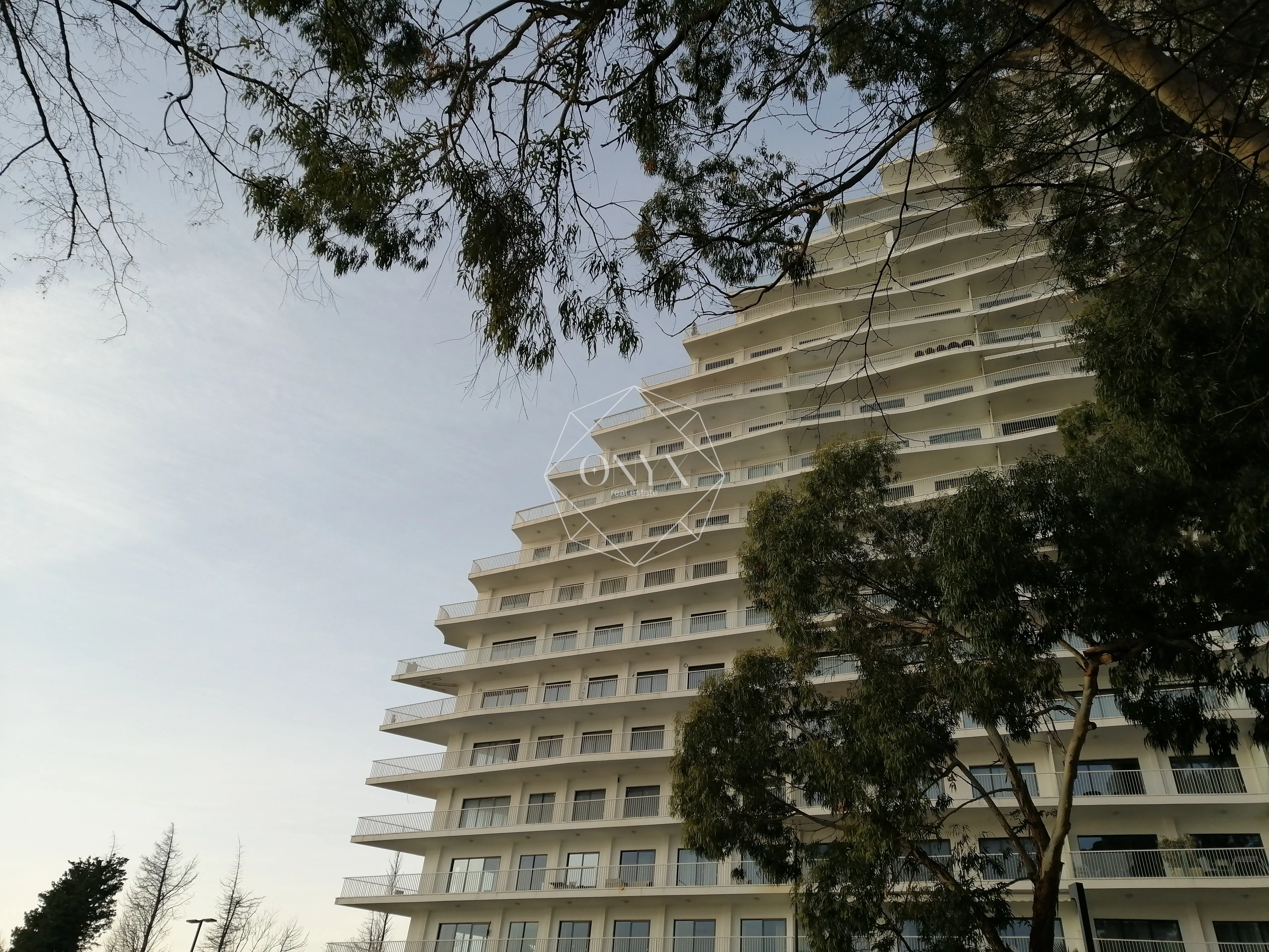 Изображение 12