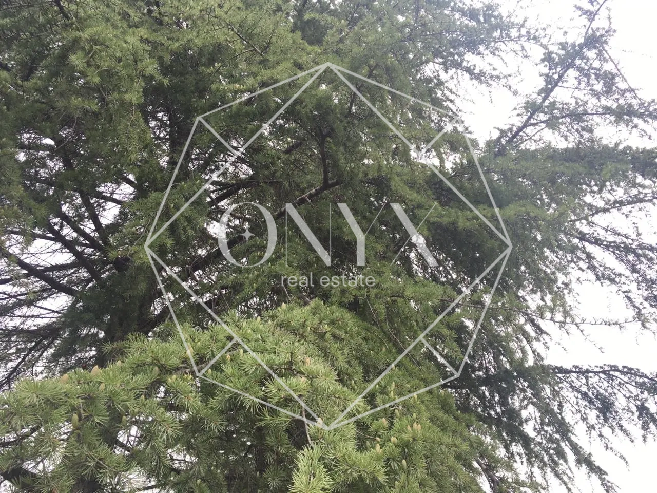 Изображение 12