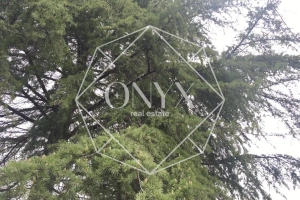 Изображение 12