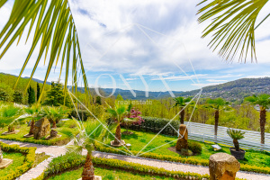 Изображение 24