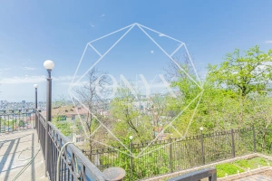 Изображение 11