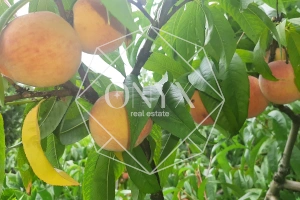 Изображение 11