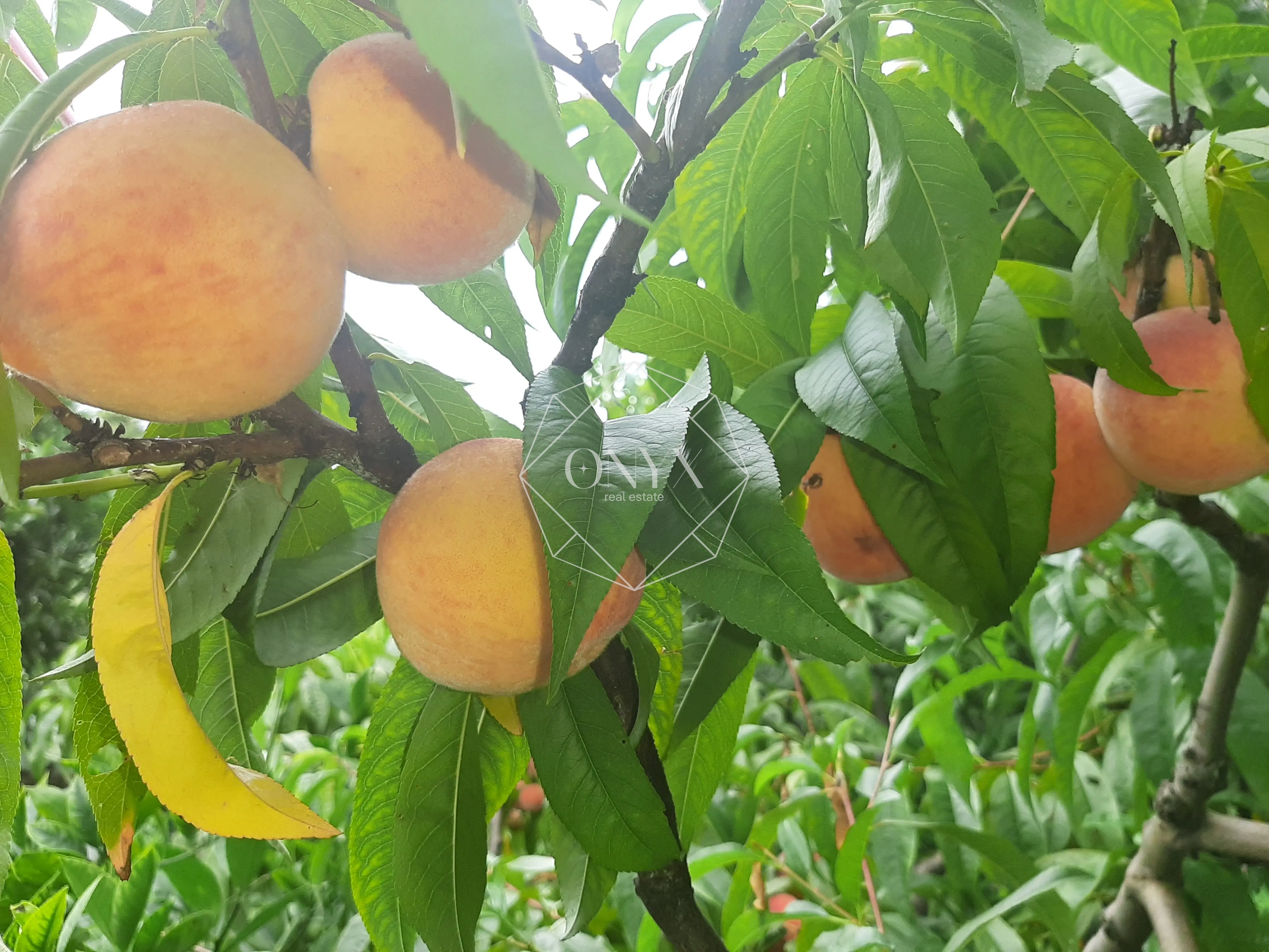 Изображение 11