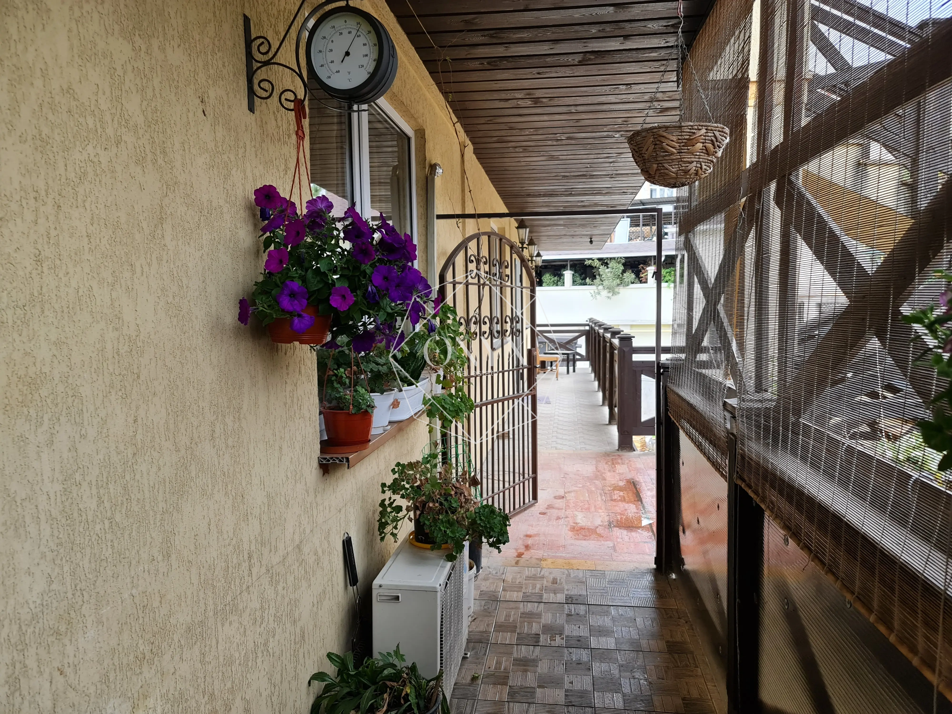 Изображение 12