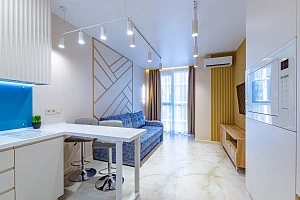 Студия с новым дизайнерским ремонтом