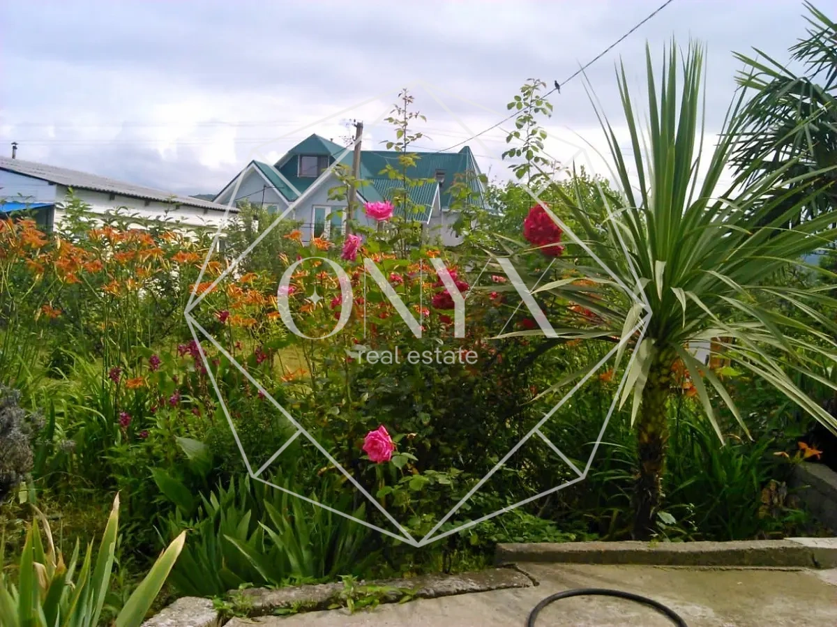 Изображение 8