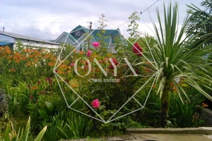 Изображение 8