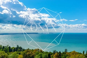 Изображение 12