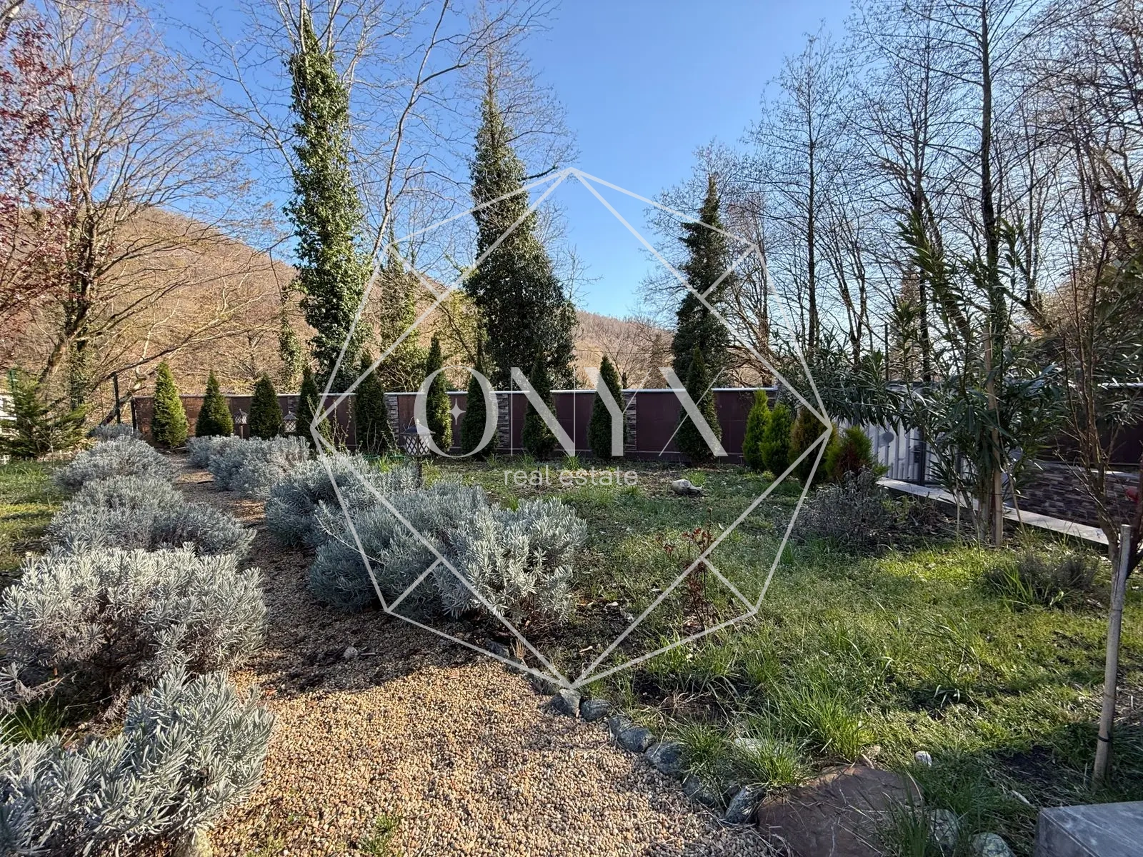 Изображение 17