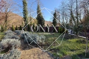 Изображение 17