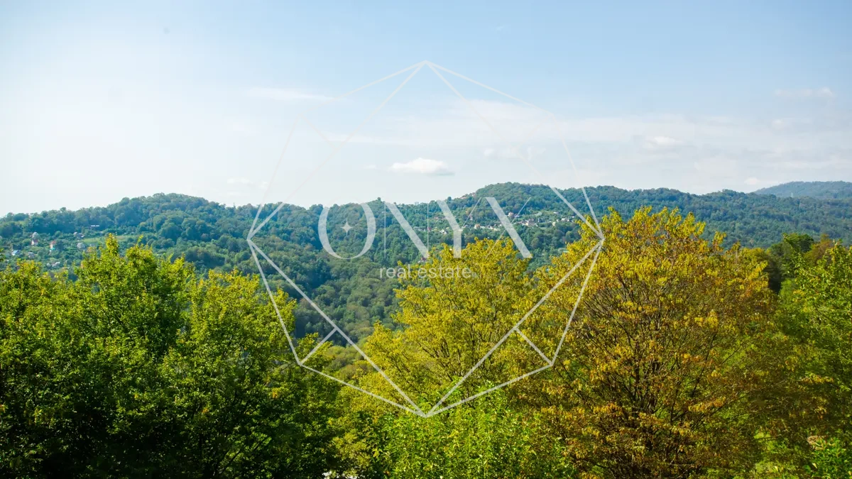 Изображение 13