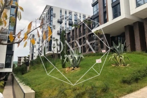 Изображение 9