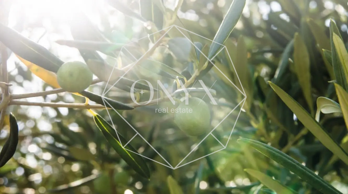 Изображение 21