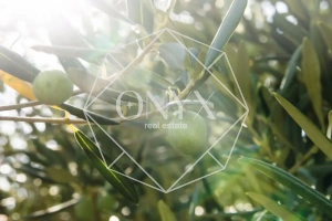 Изображение 21