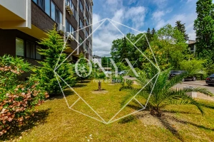 Изображение 79