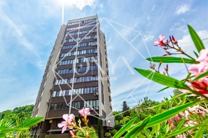 Изображение 82