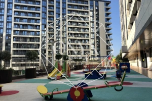 Изображение 11