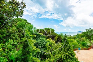 Изображение 19